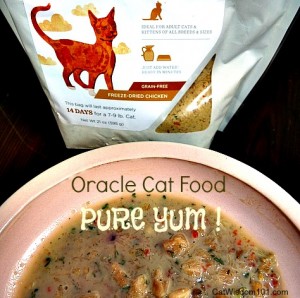 oracle-cat food-holistic-raw