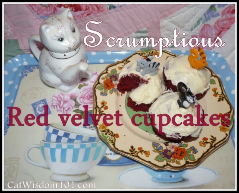 red velvet-cupcakes-cats-scrumptious