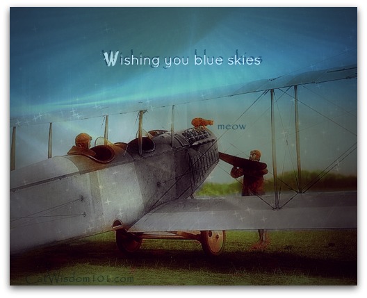 quote-blue-skies-vintage-airplane-cat
