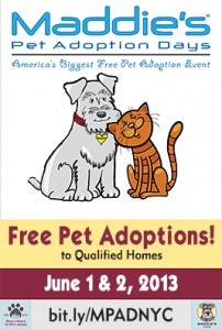 maddies-pet adoption-NYC Mayor's alliance-June 1