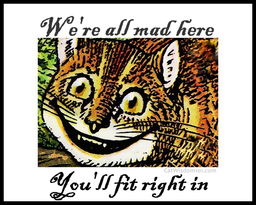 cheshire cat-quote we're all mad.bmp