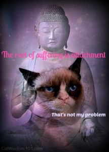 RIP Internet Celebrity Meme Queen Grumpy Cat | Cat Wisdom 101