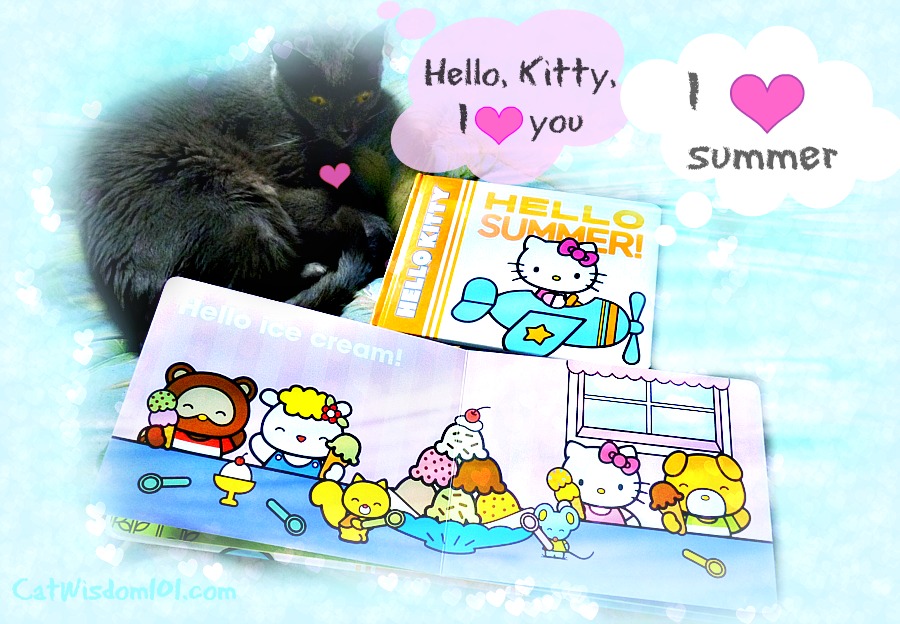 hello kitty-summer-book-giveaway