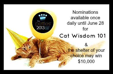 pettie awards 2013-cat wisdom 101