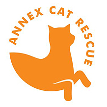 Annex Cat Rescue-Toronto Canada