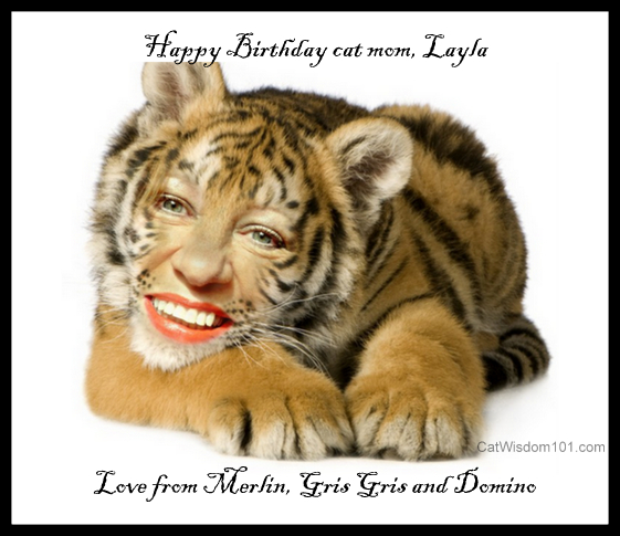 Layla-cat mom-birthday
