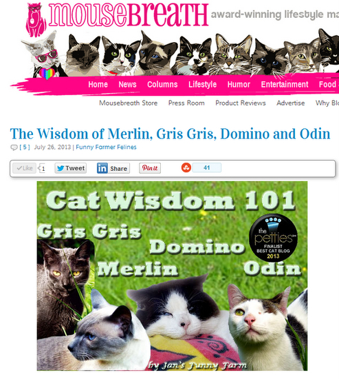Mousebreath-cat wisdom 101 interview-cats