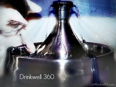 drinkwell 360-giveaway