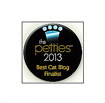 pettie-award-dogtime media-finalist-best cat blog-001