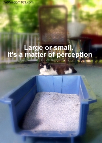 quote-small-large-perception