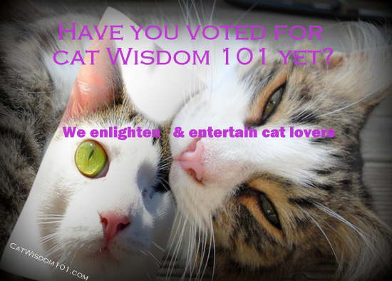 vote-cat wisdom 101- pettie awards