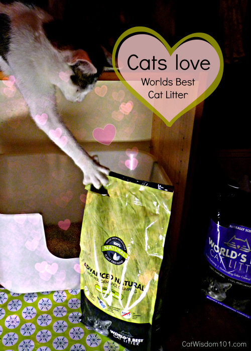 worlds best cat litter-review-giveaway-cat litter
