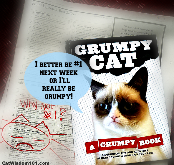 Grumpy Cat book review-giveaway- NY Times best selling list