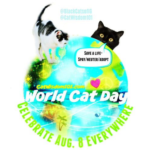 world cat day_international