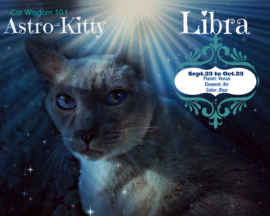 Astro kitty libra