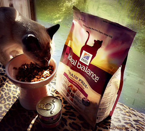 Hill's Ideal Balance cat food review-001