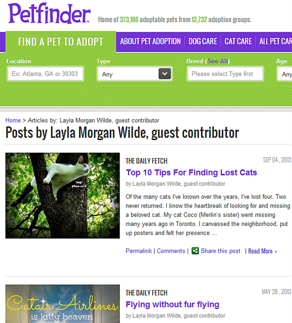 Petfinder.com Layla Morgan Wilde