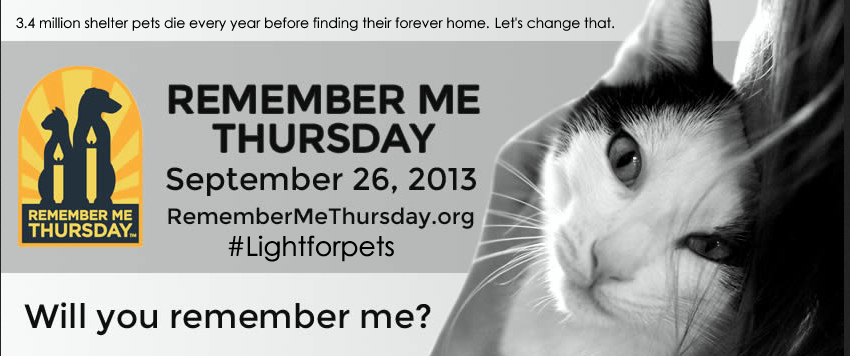 remember me thursday-pet adoption campaign-