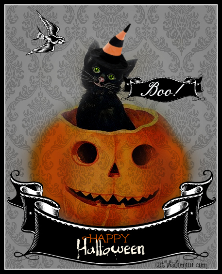 Vintage-halloween-black-cat