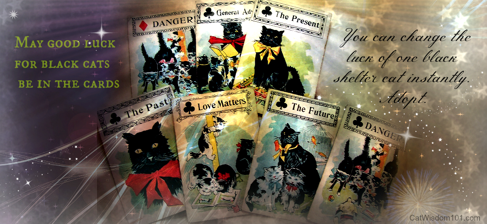 black cat card game