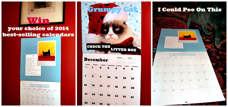 2014 cat calendars giveaway