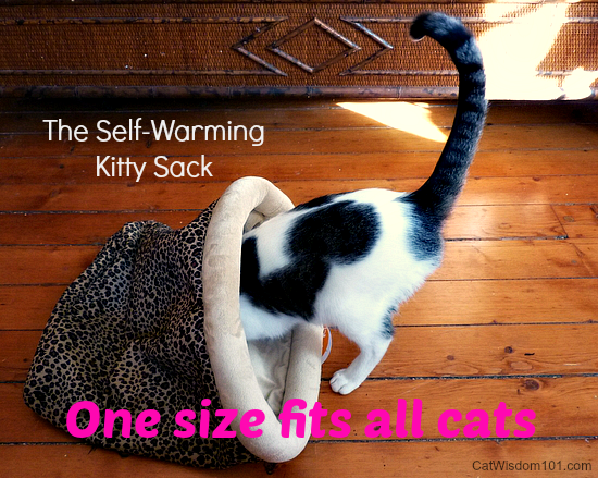 Kitty Sack giveaway