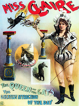 circus cats-antique art