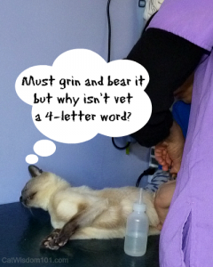 funny vet visit