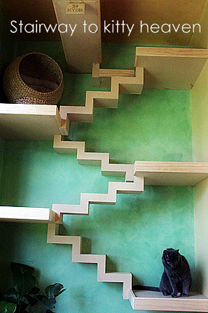 cat man -cat design-stairway to kitty heaven