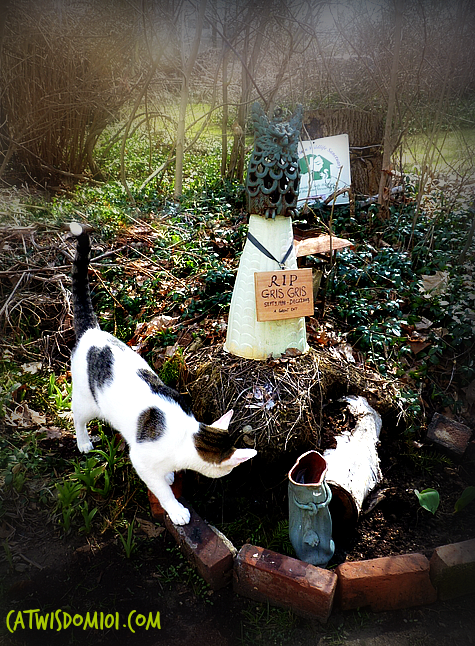 Cat grave-memorial garden
