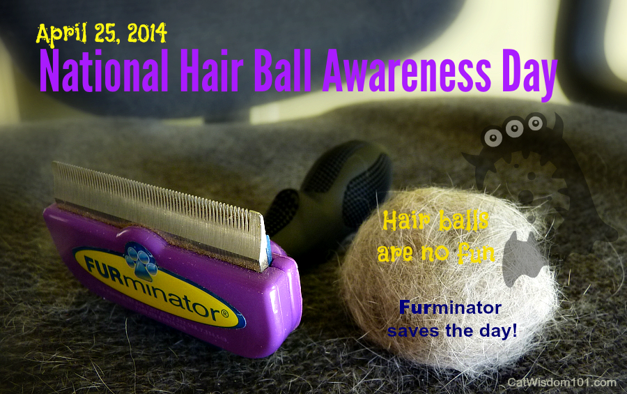 Furminator-national hairball awareness day-2014