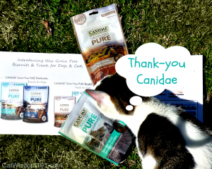 canidae-thank-you