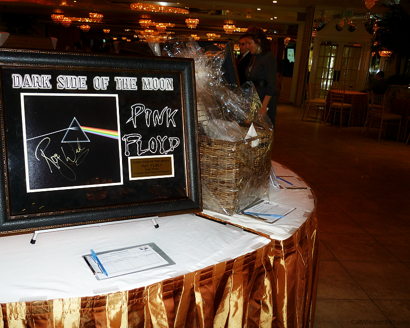NSAL silent auction-pink floyd -dark side of the moon