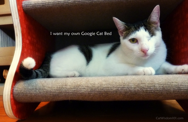 Googie cat bed