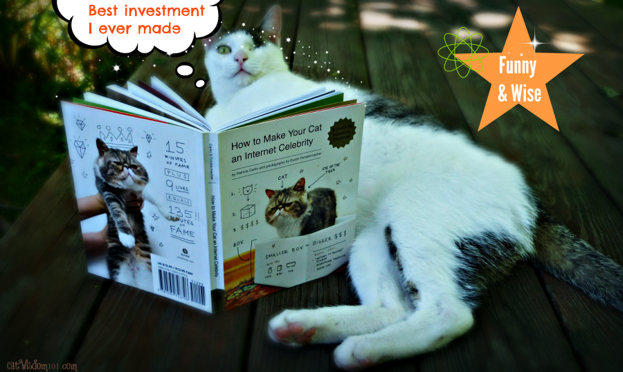 cat book giveaway