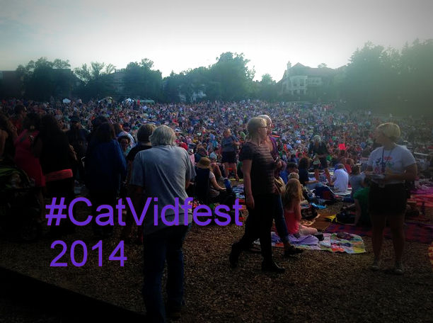 #catvidfest 2014-audience
