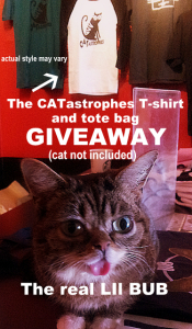 CATastrophes -lil bub- giveaway