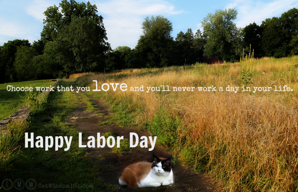cats-labor day quotes