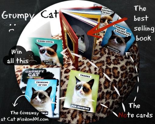 Grumpy Cat book Review Giveaway-001