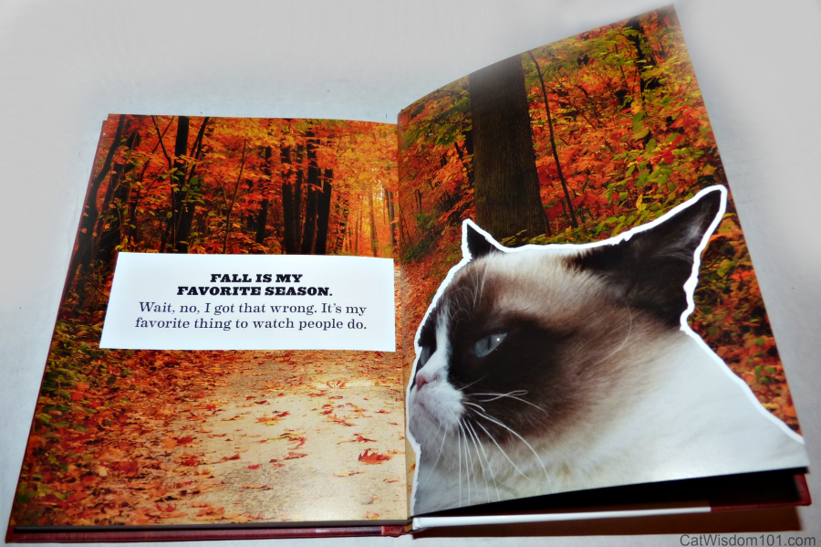 Grumpy Cat book Review Giveaway