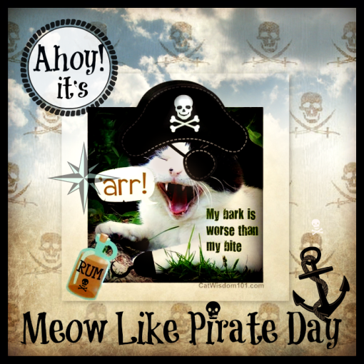 Meow like a pirate day graphic