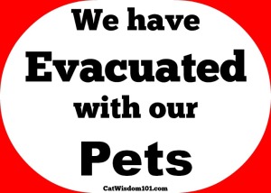pet evacuation sign