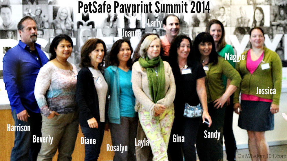 PetSafe blogger summit 2014-Knoxville, Tenn-Group