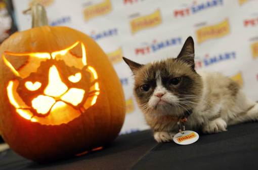 grumpy cat pumpkin