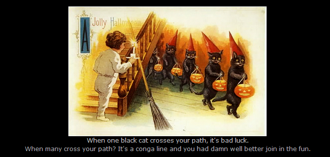 vintage black cat Halloween