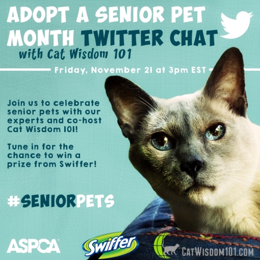 ASPCA Adopt a Senior Pet Twitter chat-merlin-cat wisdom 101