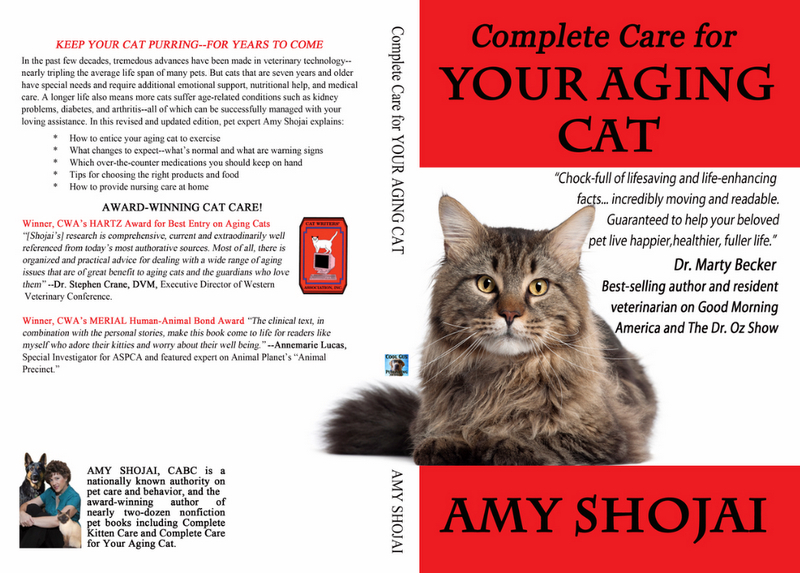 Complete care for your aging cat