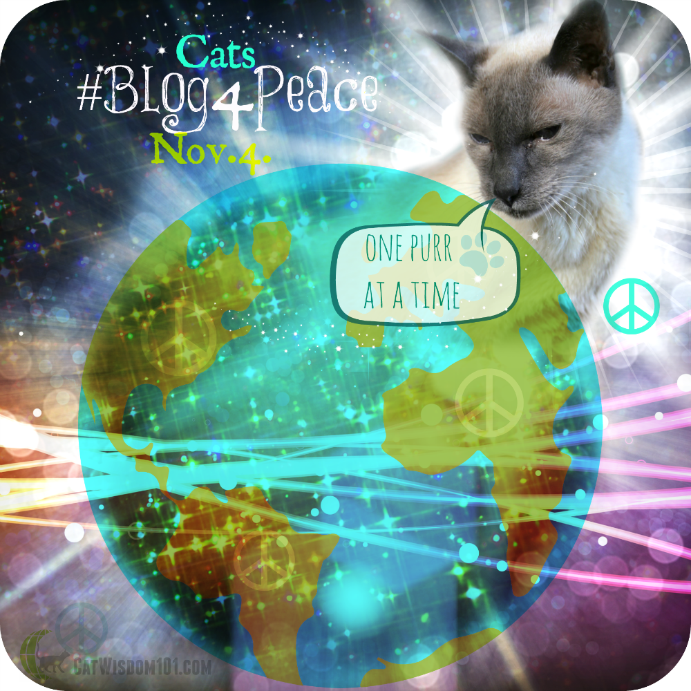 #blog4peace
