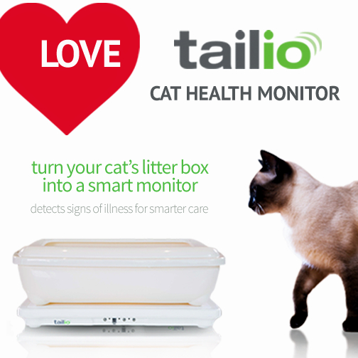 Tailio cat health monitor