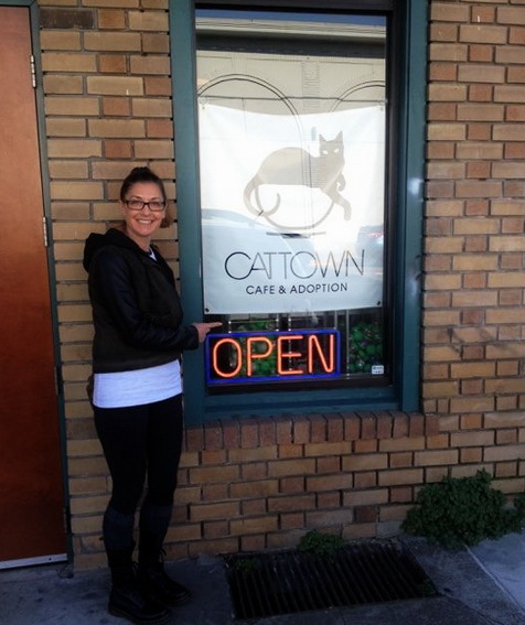 Cat Town cat cafe Oakland